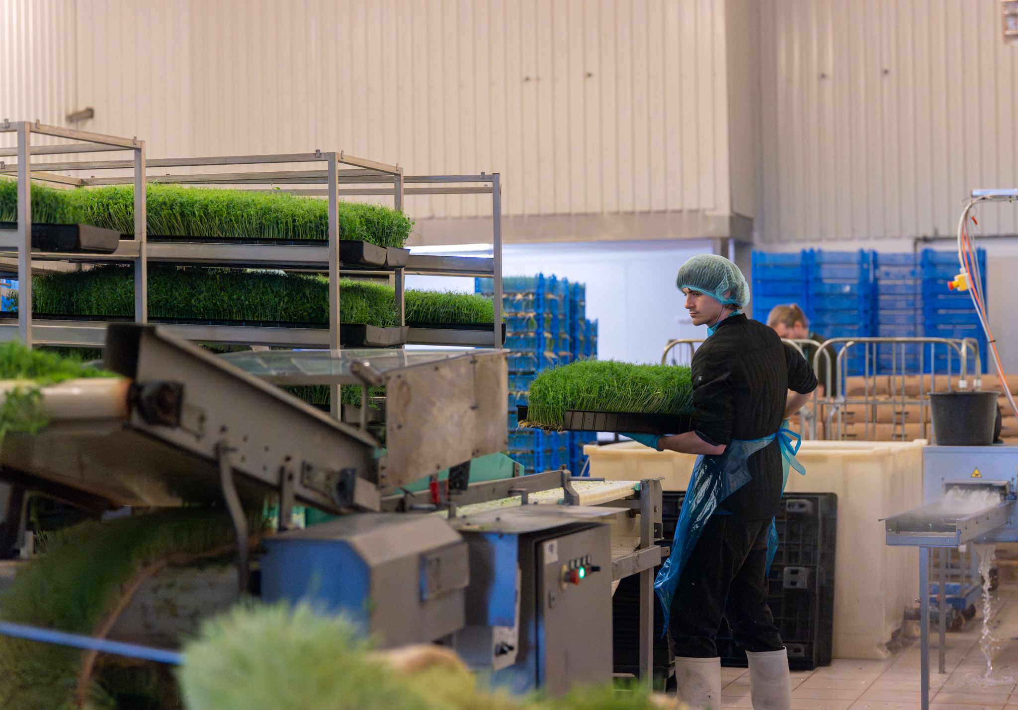Foto fra fotoshoot hos Grow Up Farm