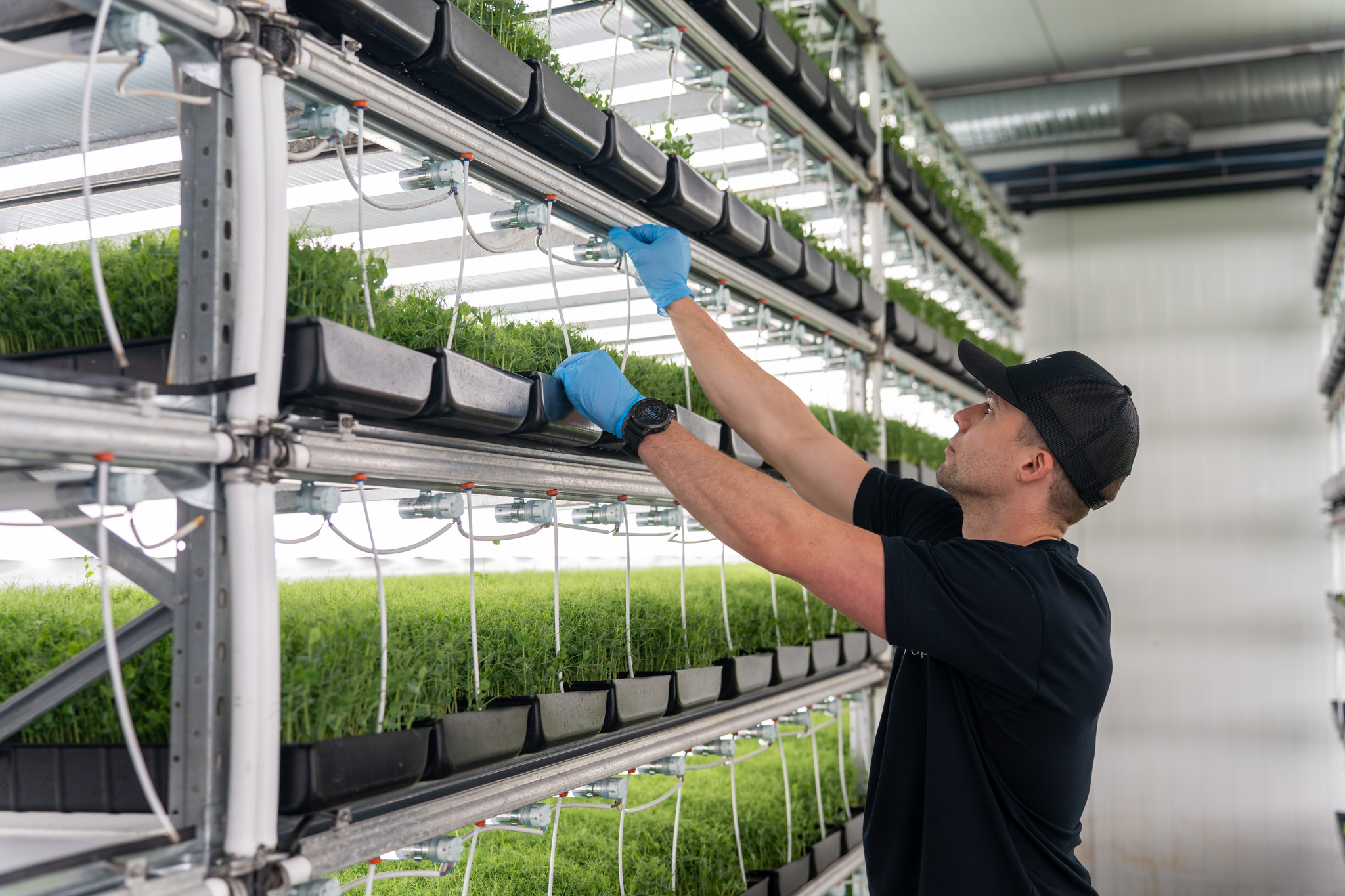 Foto fra fotoshoot hos Grow Up Farm